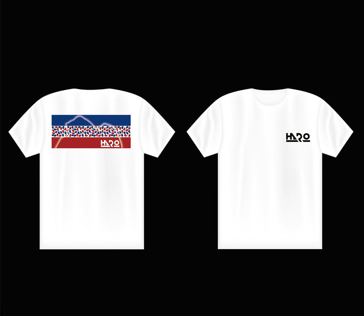 (HARO)雪糕車 X獅子山